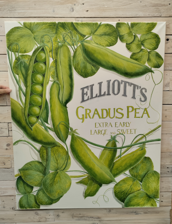 Elliot Gradus Peas sign